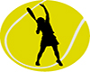 Fed Cup 2014 1/4 D.Cibulkova Vs A.Petkovic